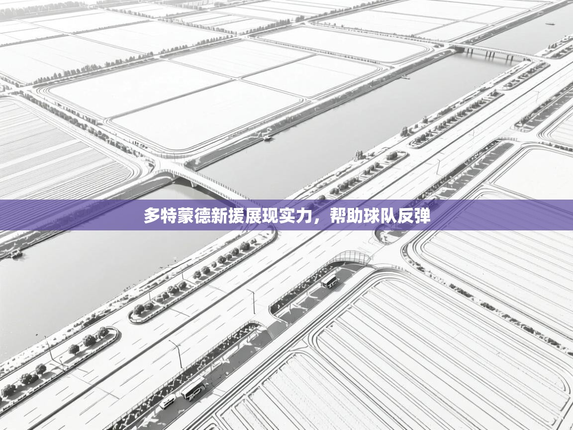 多特蒙德新援展现实力，帮助球队反弹